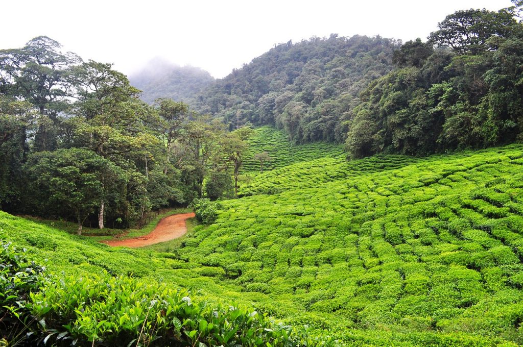 Colombie Séjour Hacienda de charme Colombia