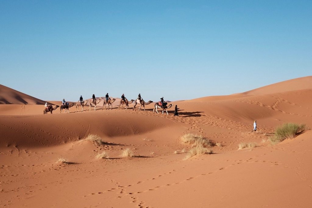 Egypte désert blanc by Anapia