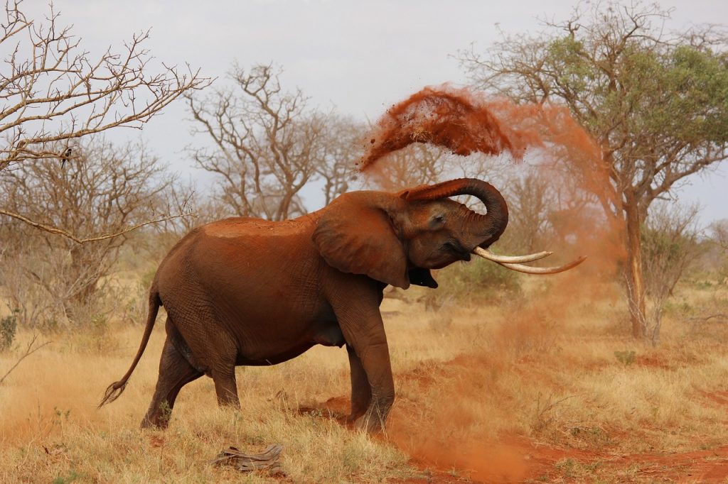 Anapia Voyages destination Afrique